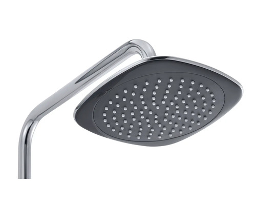 Pomme de douche avec bras de douche