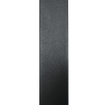 Tür Künstleratelier 88x200,5 cm DIN Links (Türmass 83x197,2 cm)-thumb-4
