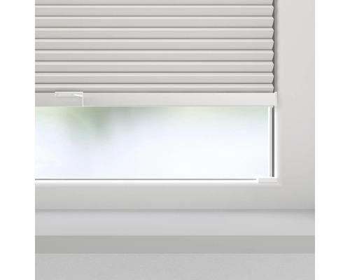 Fenster mit Plissee-Rollo zur Lichtregulierung