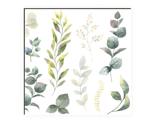 Illustration décorative de différents types de feuilles.