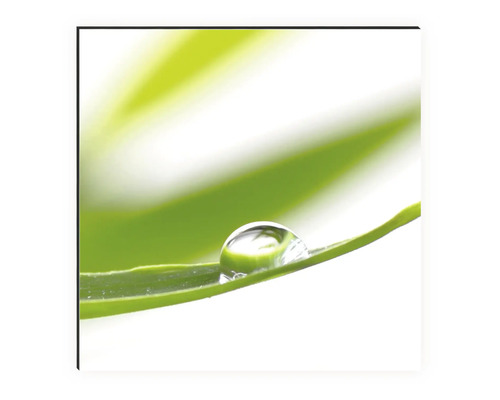 Élément de décoration : Goutte d’eau sur une feuille