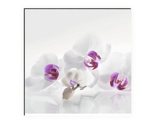 Image murale décorative avec motif orchidée