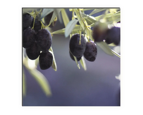 Gros plan d''olives sur une branche