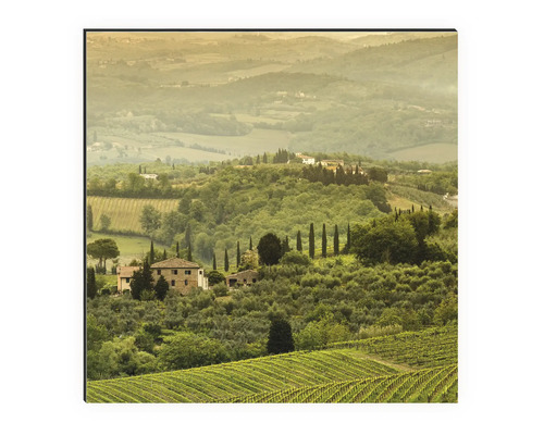 Image de paysage avec collines, vignobles et maisons