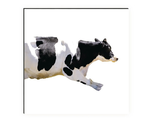 Image décorative d''une vache encadrée