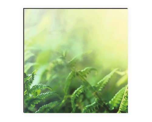 Gros plan de fougères sur impression sur toile