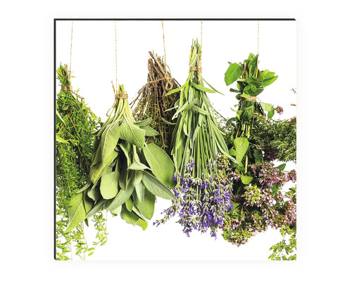 Plusieurs bouquets d''herbes aromatiques suspendus à une ficelle.