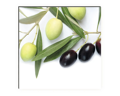 Branche d''olivier avec olives vertes et noires