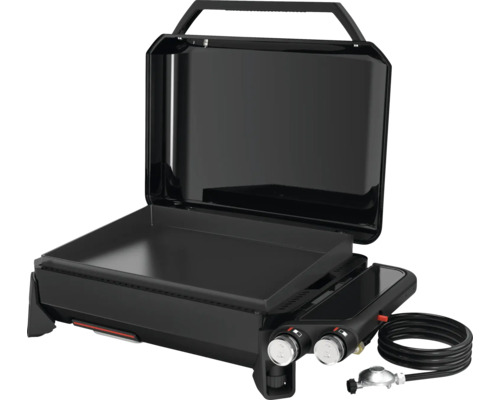 Tragbarer Gasgrill mit Grillplatte