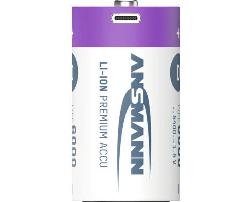 Pile Ansmann D avec port USB