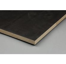 Siebdruckplatte Birke 9x1250x2500 mm braun-thumb-1