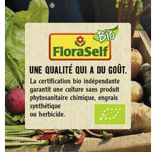 Cornichons bio FloraSelf Bio semences de légumes hybrides F1-thumb-2