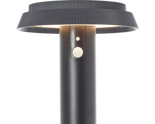 Borne d''éclairage noire avec détecteur de mouvement