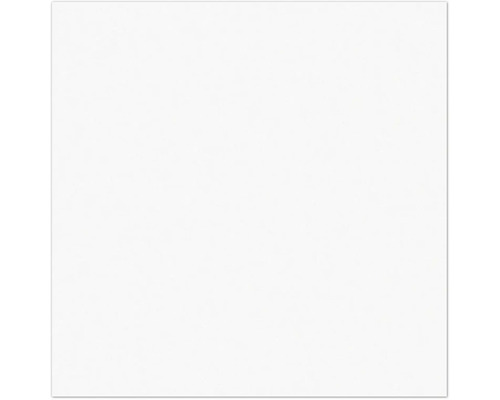 Arrière-plan blanc.