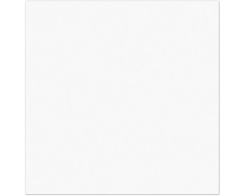 Arrière-plan blanc.