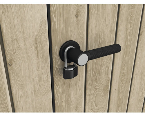 Porte en bois avec poignée de porte noire et cadenas