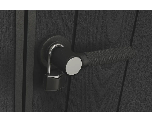 Porte avec quincaillerie de porte et cadenas