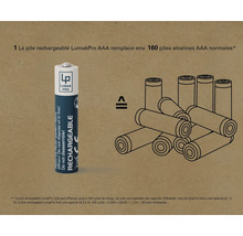 Logo Lumak Pro. Une pile AAA rechargeable.