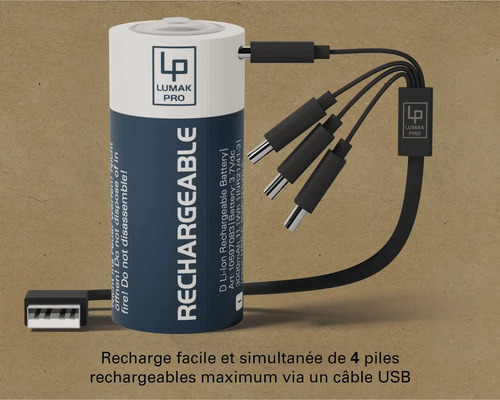 Batterie lithium-ion Lumak Pro D avec câble de chargement USB pour charger jusqu''à quatre batteries simultanément