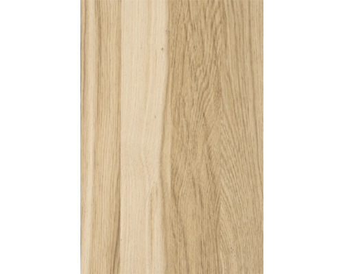 Gros plan sur du bois de chêne