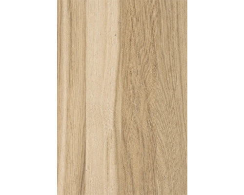 Gros plan de la texture du bois