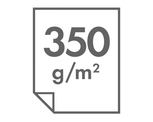 Symbole pour un grammage de papier de 350 grammes par mètre carré