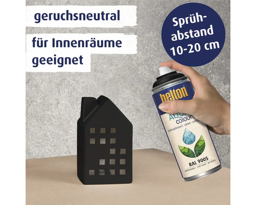 Helton Aqua Farbspraydose und Deko-Haus für den Innenbereich