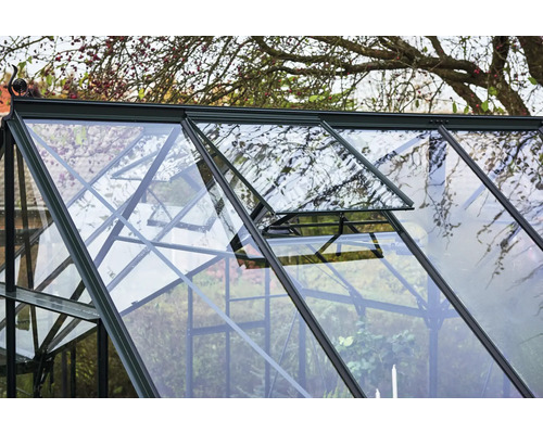 Vue détaillée d''une serre avec une fenêtre ouverte pour la ventilation