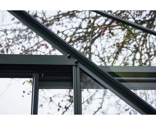 Vue détaillée d''un cadre de serre en métal et en verre