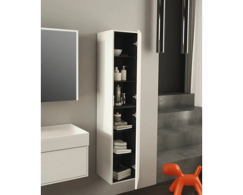 Badezimmer Szene mit Waschbeckenunterschrank und offenem Hängeschrank zur Aufbewahrung von Badutensilien.