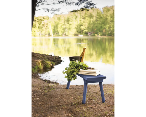 Szene mit Hocker, Birkenzweig, Eimer und Kelle am See