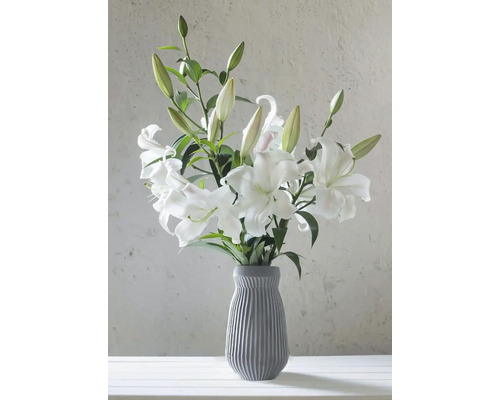 Bouquet de lys blancs dans un vase