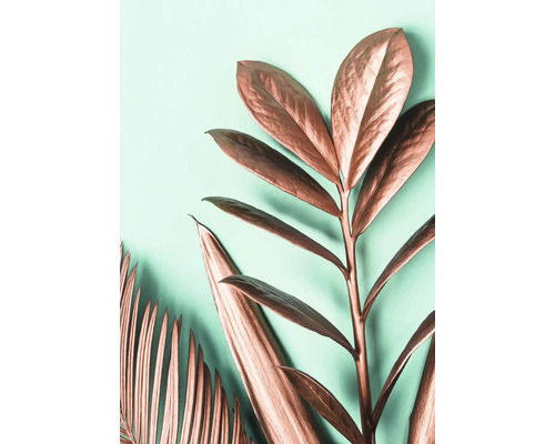 Plantes décoratives avec des feuilles à effet métallique