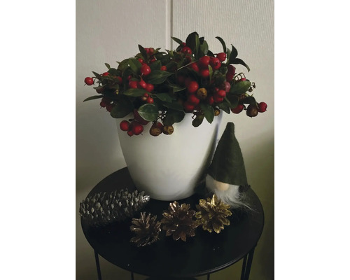 Arrangement décoratif avec des baies rouges, des pommes de pin et une figurine de gnome sur une table.