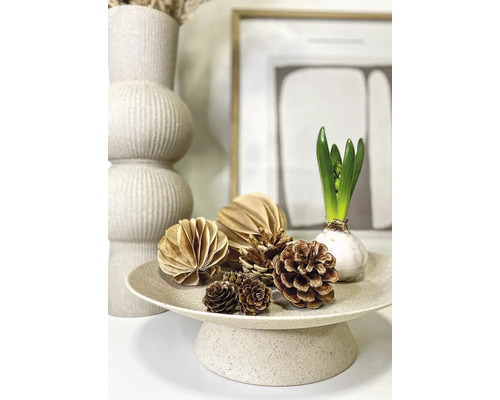 Dekorationstablett mit Zapfen, Papierornamenten und einer Hyazinthe.