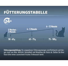 Fütterungstabelle für Katzenfutter nach Alter in Monaten und Futtermenge in Gramm.
