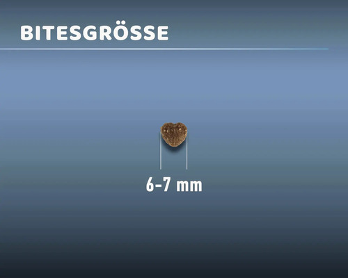 Einzelfutterstück, 6 bis 7 Millimeter gross
