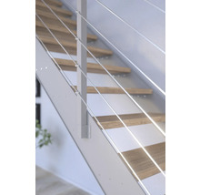Vue détaillée d''un escalier avec marches en bois et garde-corps en câbles d''acier inoxydable