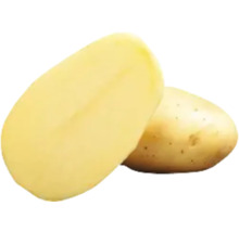 Geschälte Kartoffel, halbiert