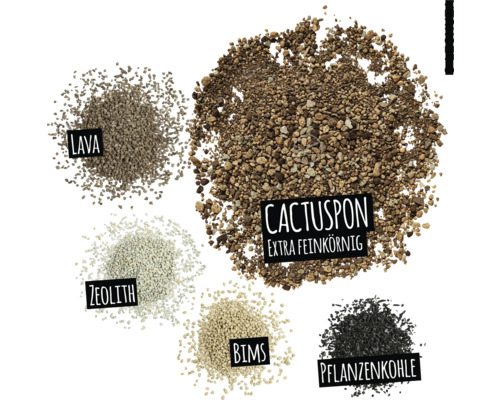 Abbildung von Lavagestein, Zeolith, Bims, Kakteenerde und Pflanzenkohle