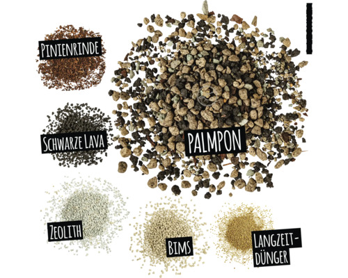 Présentation de différents agrégats pour substrats de culture : écorce de pin, lave noire, zéolithe, pierre ponce, engrais longue durée et palmpon