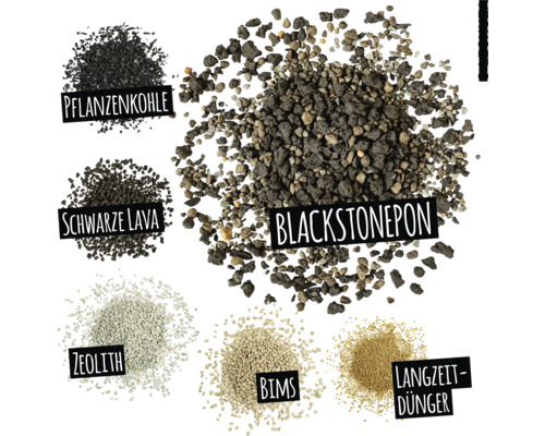 Image de différents substrats de culture : charbon végétal, lave noire, zéolite, pierre ponce, engrais longue durée et blackstonepon