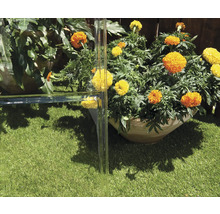Scène de jardin avec des bacs à plantes et une balustrade en verre sur une pelouse