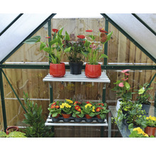 Intérieur de serre avec des étagères et diverses plantes en pot