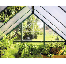 Vue intérieure d''une serre avec des plantes et un panier suspendu