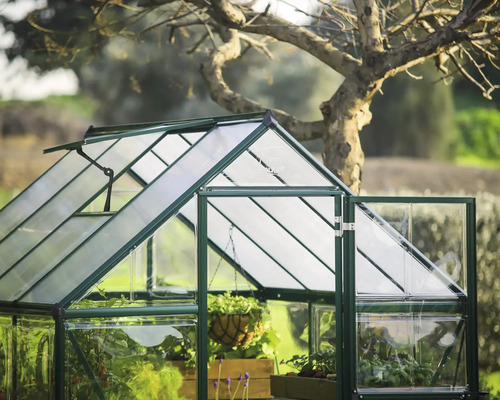 Serre avec porte ouverte et plantes dans le jardin
