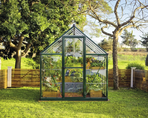 Serre avec des plantes dans un jardin.