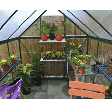 Serre avec des plantes sur des étagères et des tables