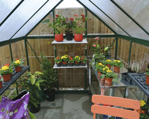 Serre avec des plantes sur des étagères et des tables