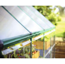 Serre avec culture de plantes dans des caisses en bois